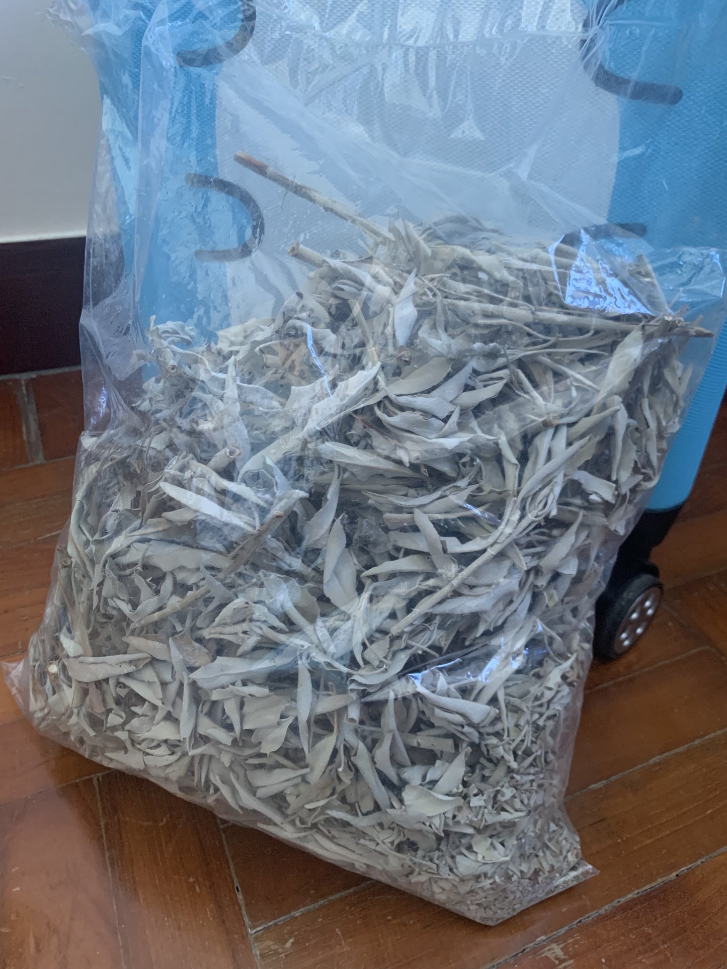 消磁淨化系列