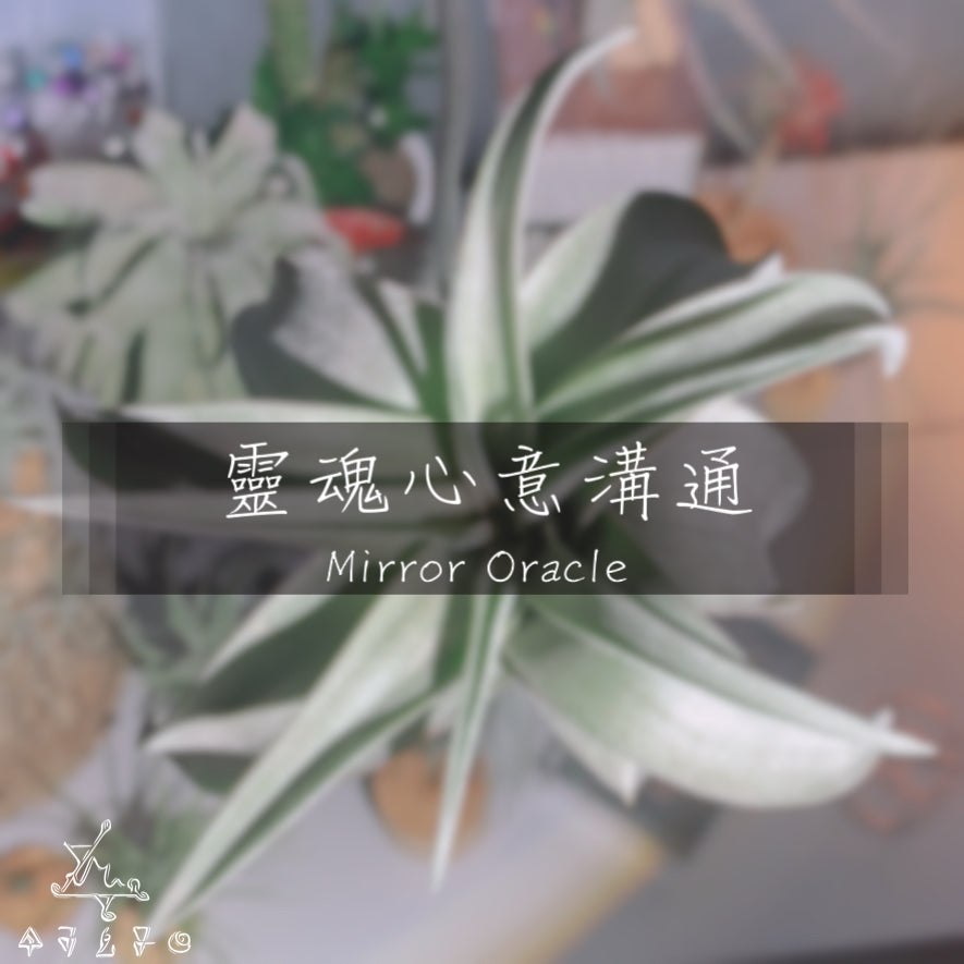 靈魂心意溝通