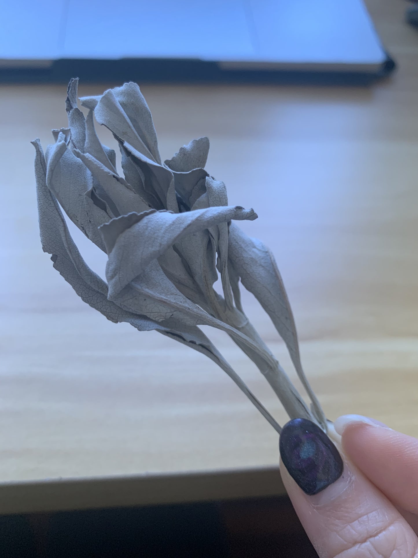 消磁淨化系列