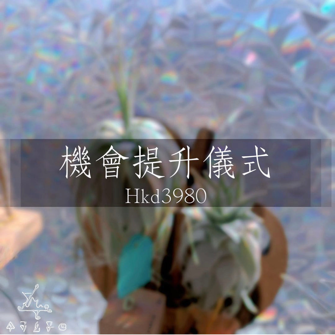 機會提升儀式