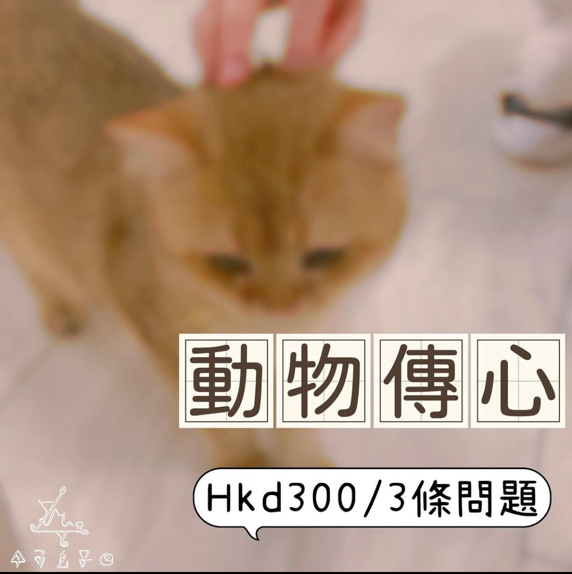 動物傳心