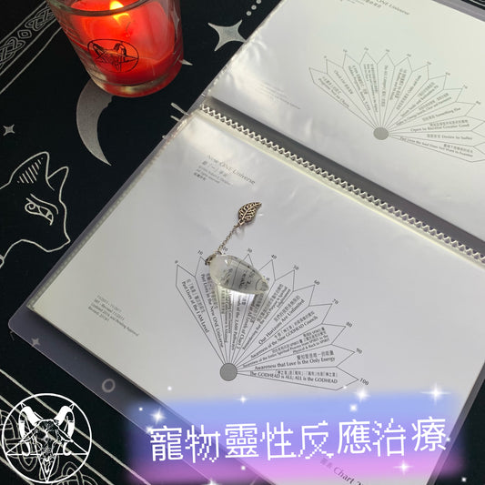 SRT-寵物靈性反應治療